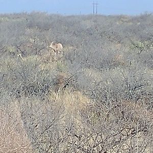 Meet your Posher, Rob